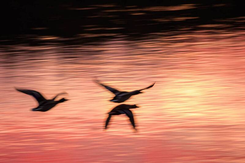 На закат фото превью