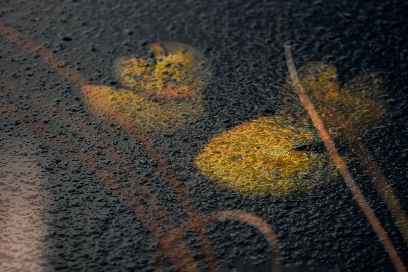 ноябрь, лёд Ноябрь на озере фото превью