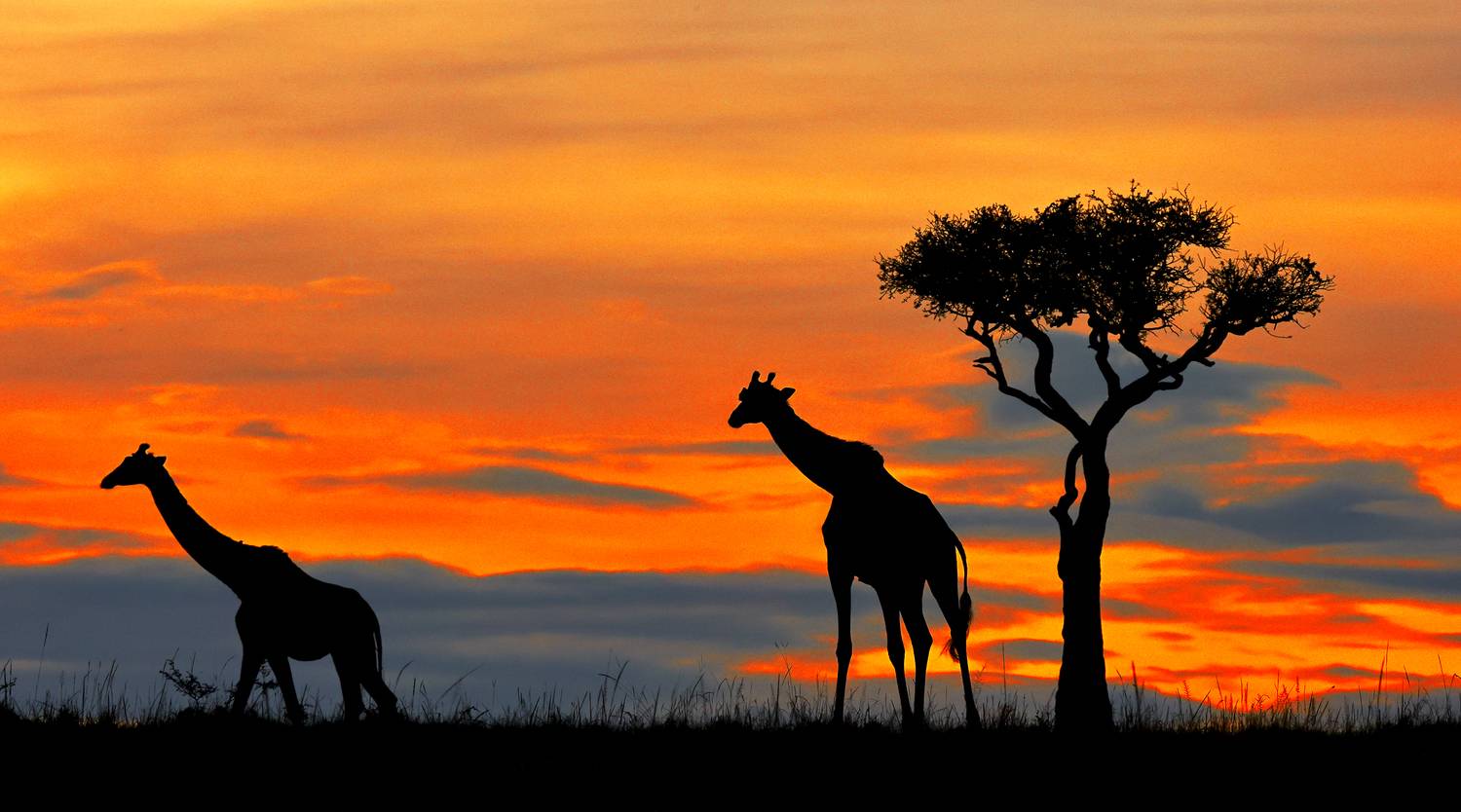 , Гудков Андрей