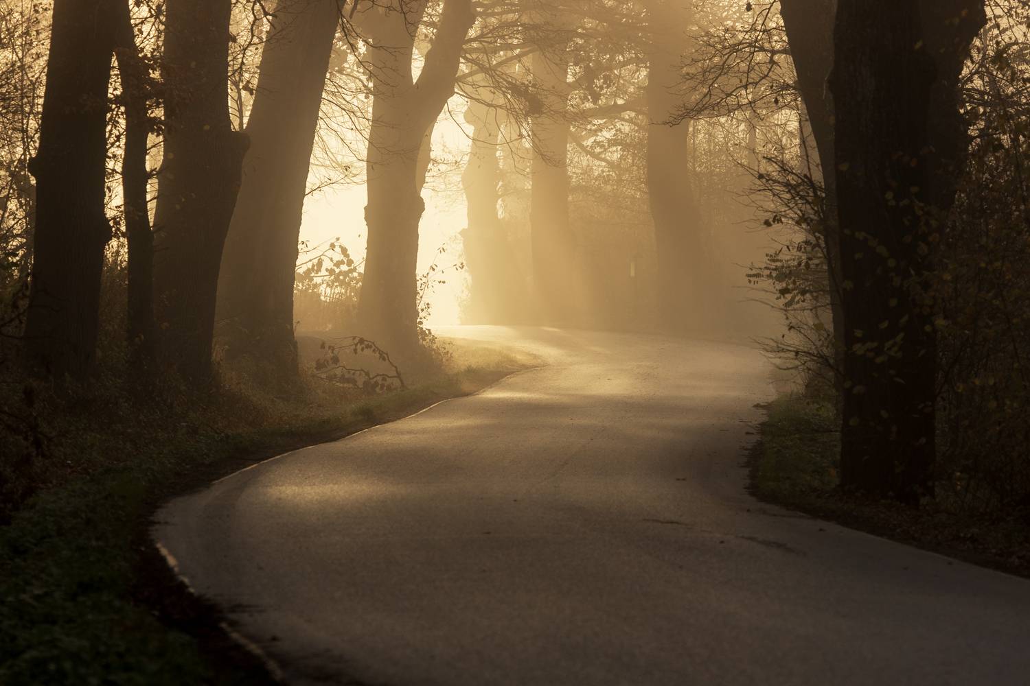 ,  Mirosław Pruchnicki