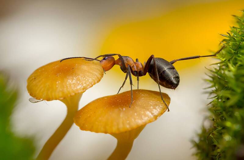 Сладкая моя, иди ко мне! фото превью