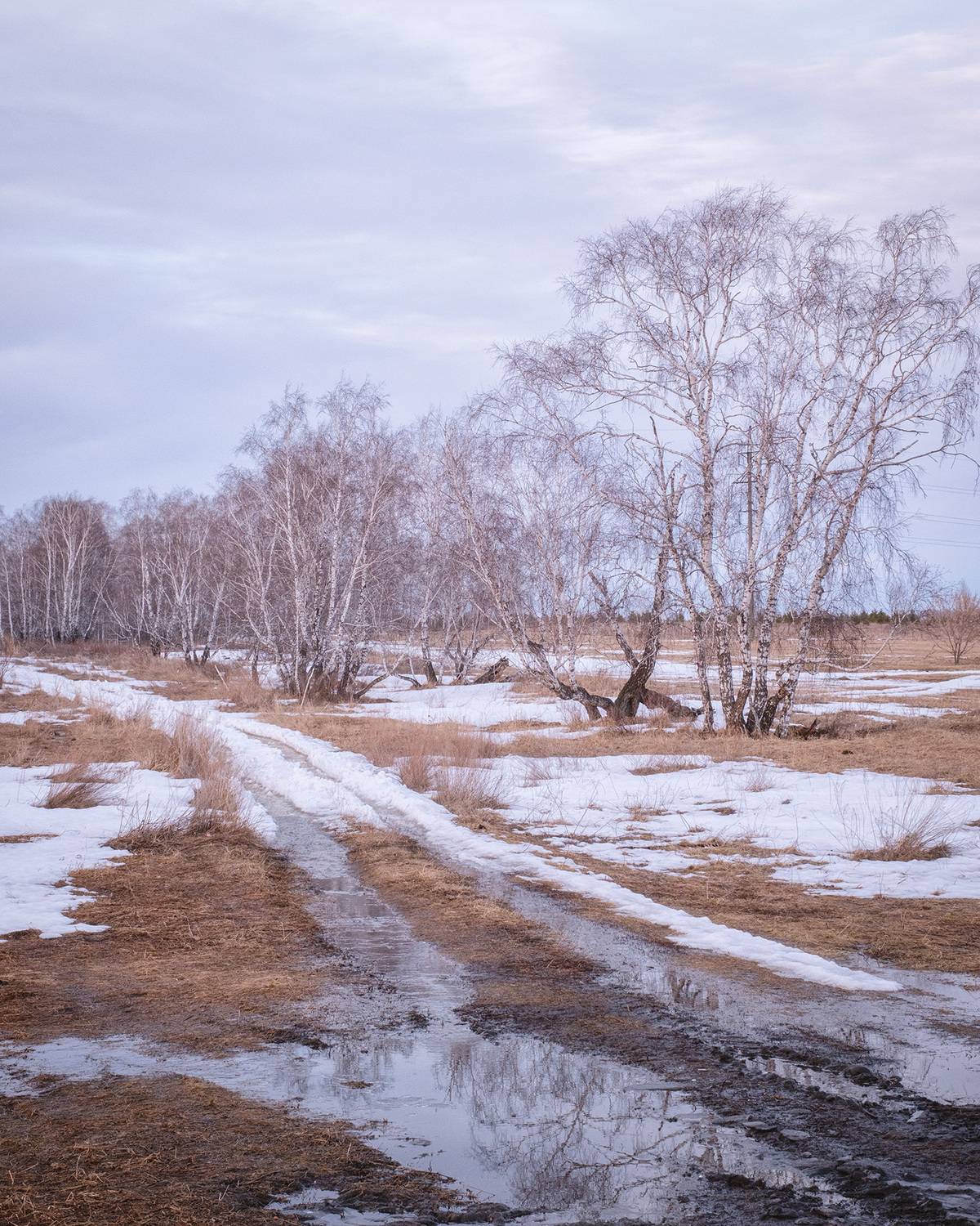 , Бодрягин Виталий