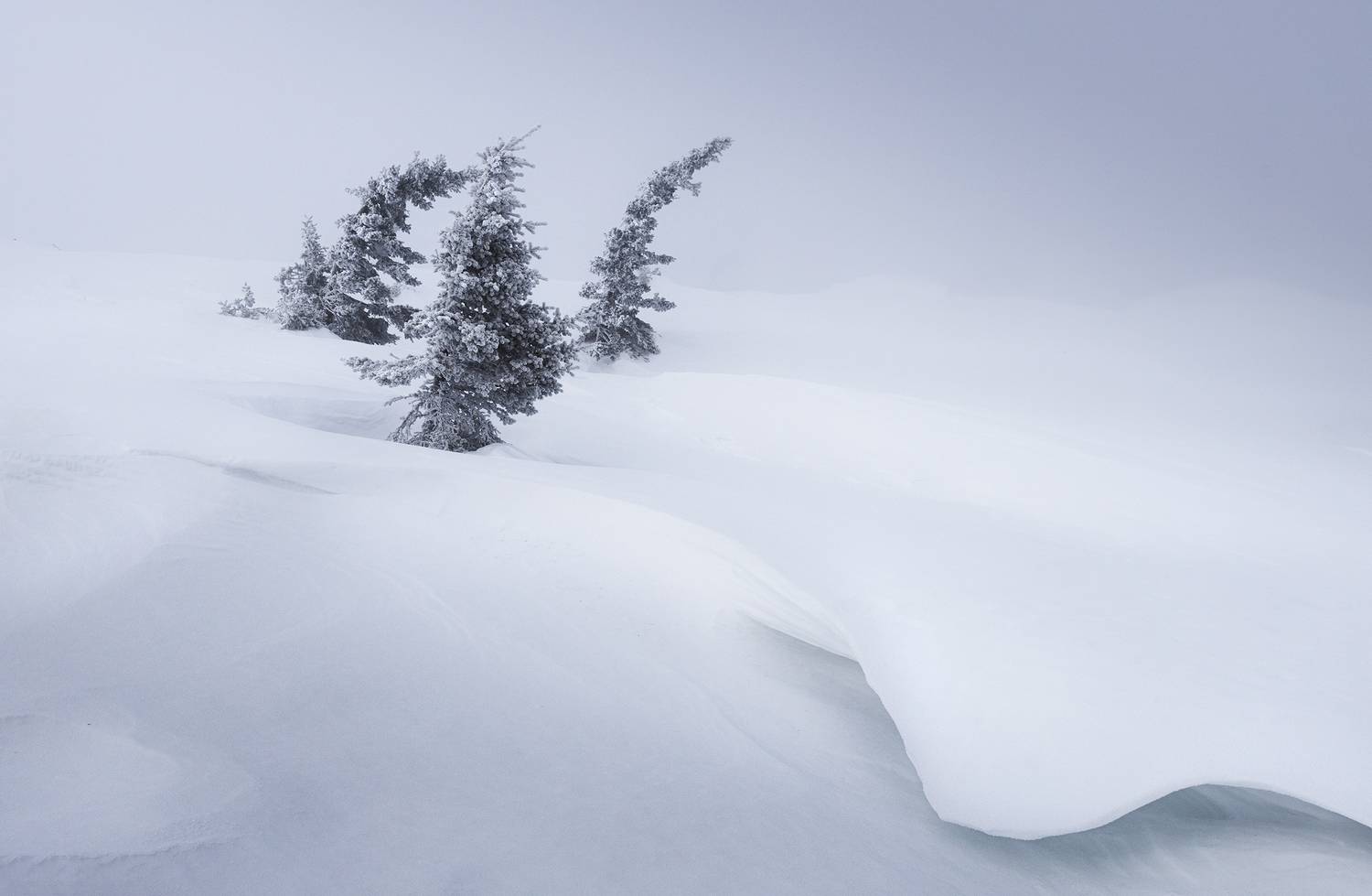 , Татьяна Бирюкова