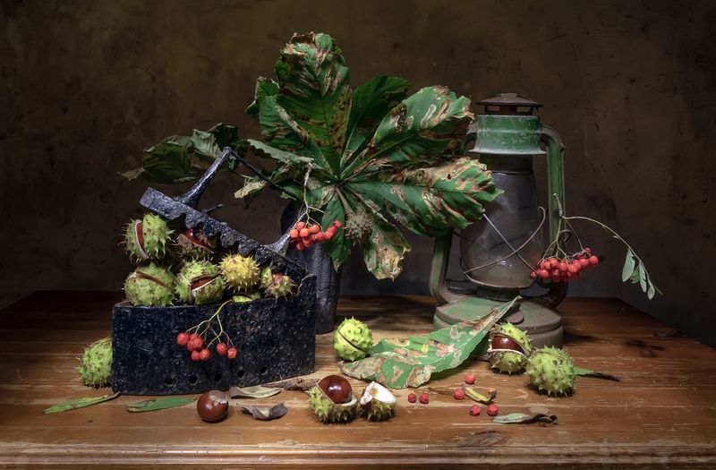 натюрморт, утюг, каштаны, керосинка, рябина Каштанчики) фото превью