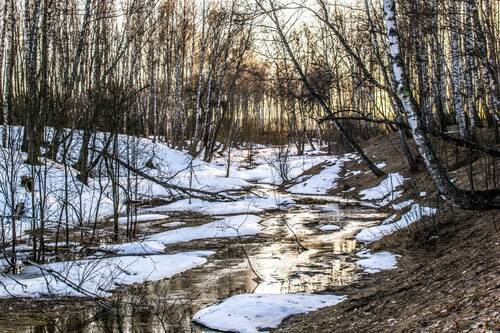 Весенние ручьи