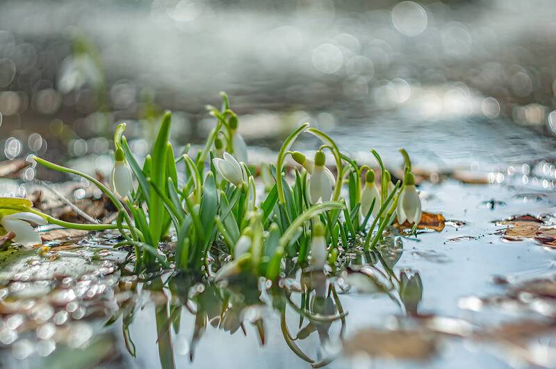 Братец Апредь на пороге. фото превью