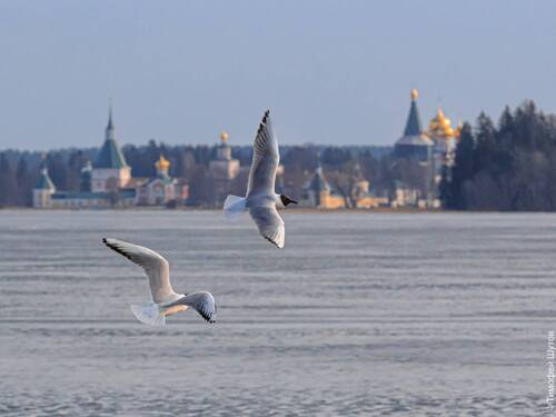 Весна на Валдае