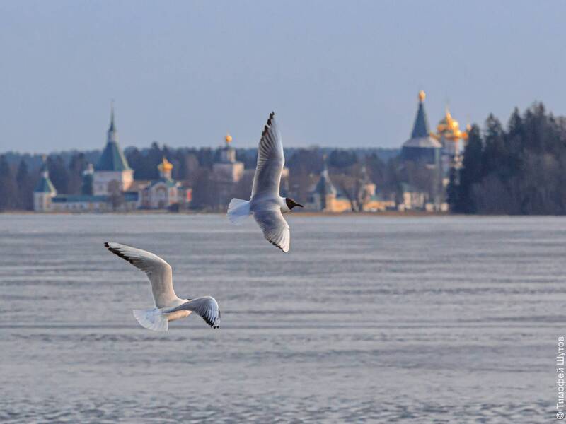 валдай Весна на Валдае фото превью