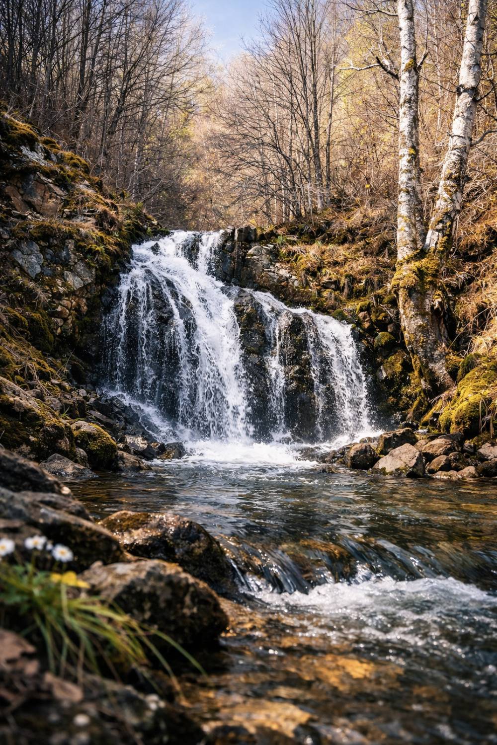, Шилов Александр