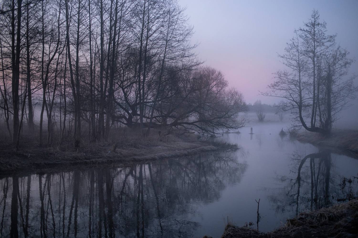 , Игорь Денисов