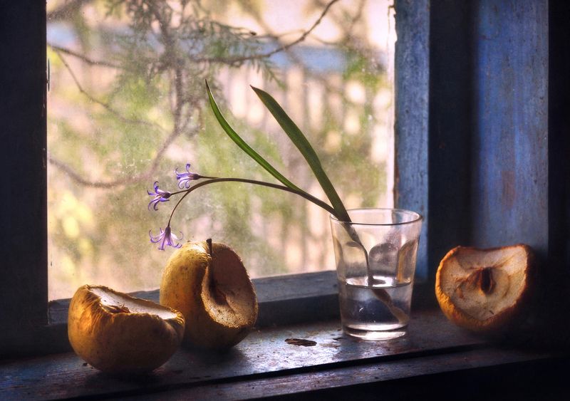 натюрморт, весна, плоды, пролеска, окно, still life, window, spring, sunny mood, apple, первоцвет, яблоки На весеннем окошке фото превью