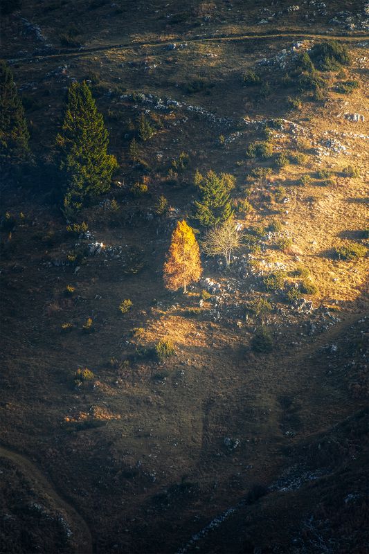Giochi di luce фото превью