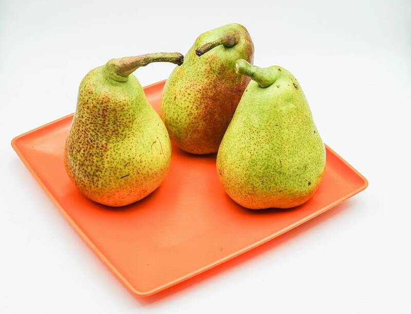 Совет носатых фото превью