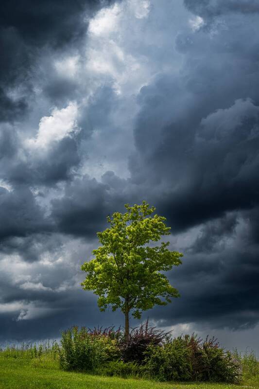 анапа, пейзаж, дерево, небо, облака Одиночество фото превью