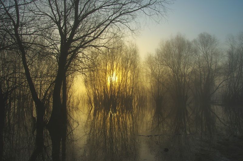 Весеннее утро фото превью