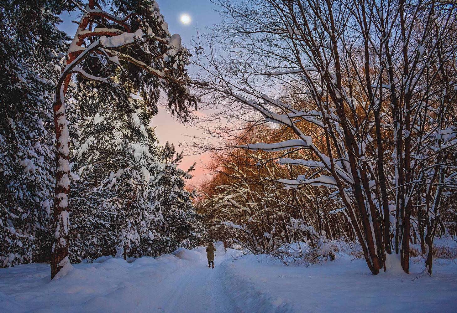 вечер, москва, серебряный бор, закат, лыжник, Виктор Климкин