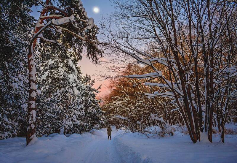 вечер, москва, серебряный бор, закат, лыжник Вечерняя прогулка фото превью