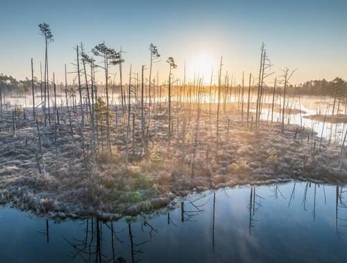 Холодное весенее утро