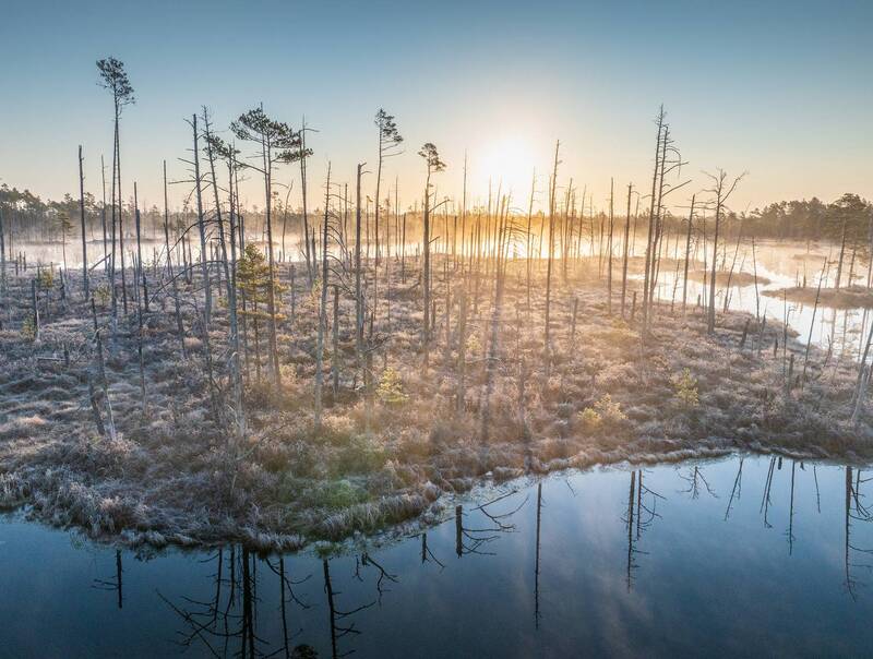 Холодное весенее утро фото превью