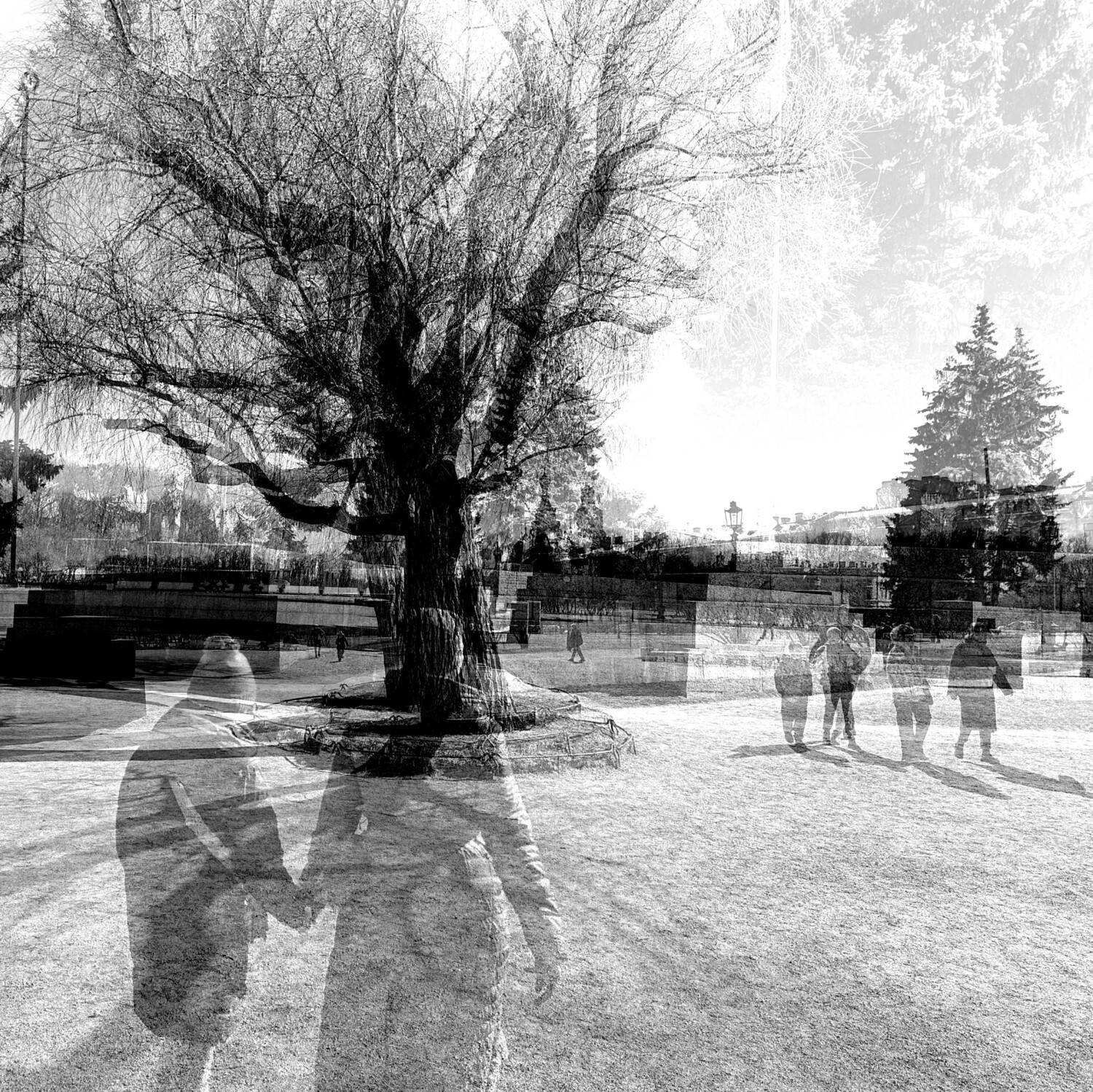 , Антон Лаба