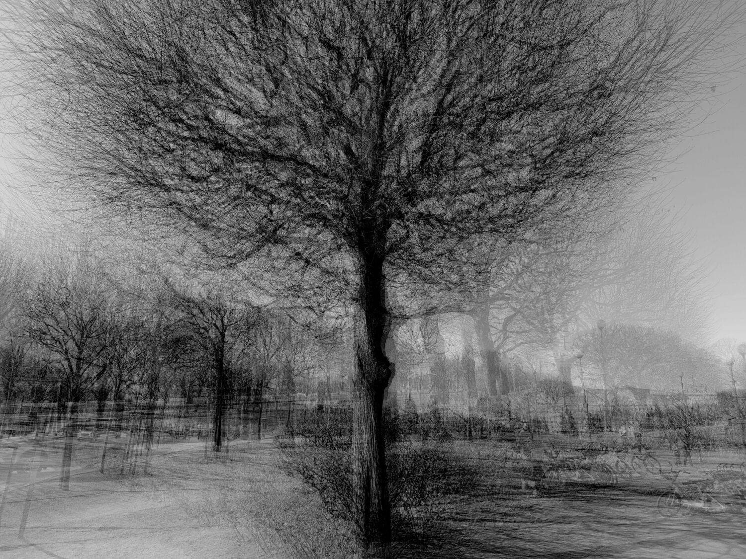 , Антон Лаба