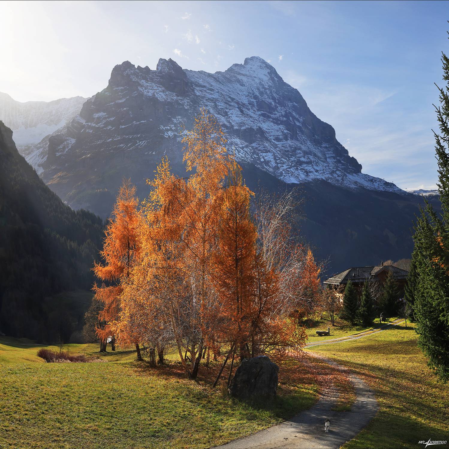 swiss, Матвеев Николай