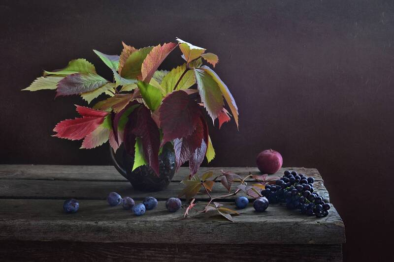 *** фото превью