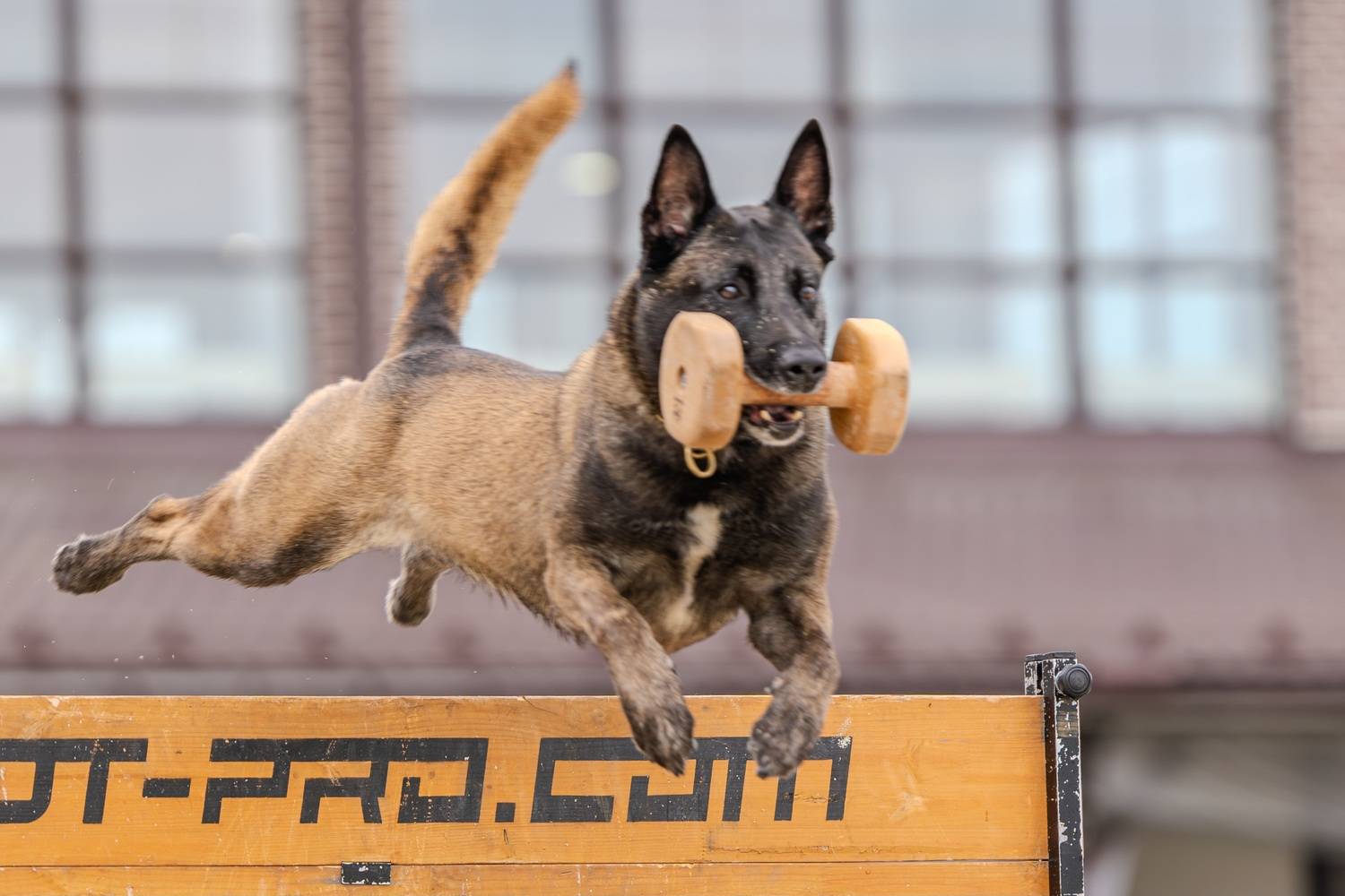 , Сергей Жиркевич