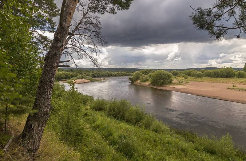 виледь, рекчка, река, берег, лес, круча, небо, сосна На прогулке к речке. фото превью