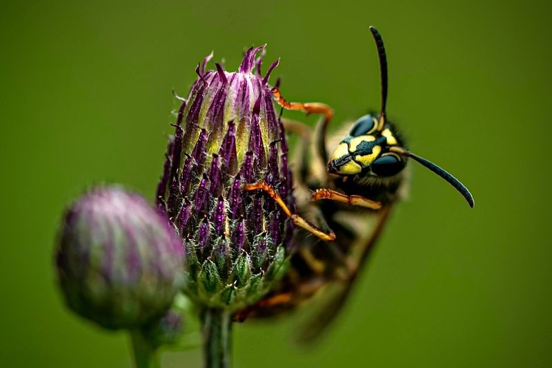 who\\\'s here? фото превью