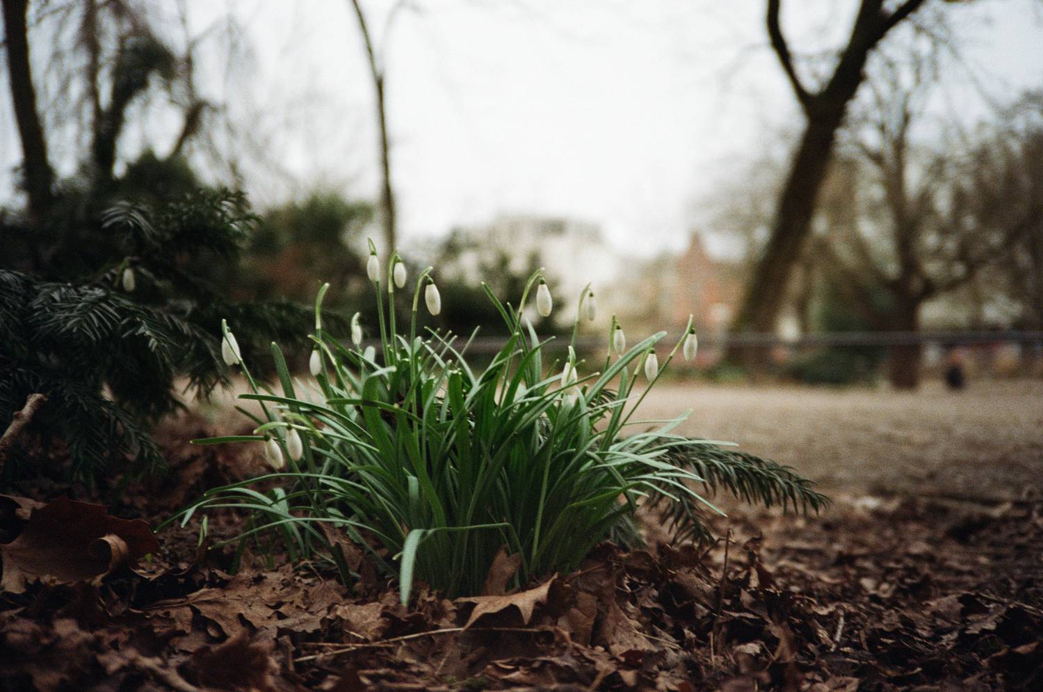 , Георгий Бычковский