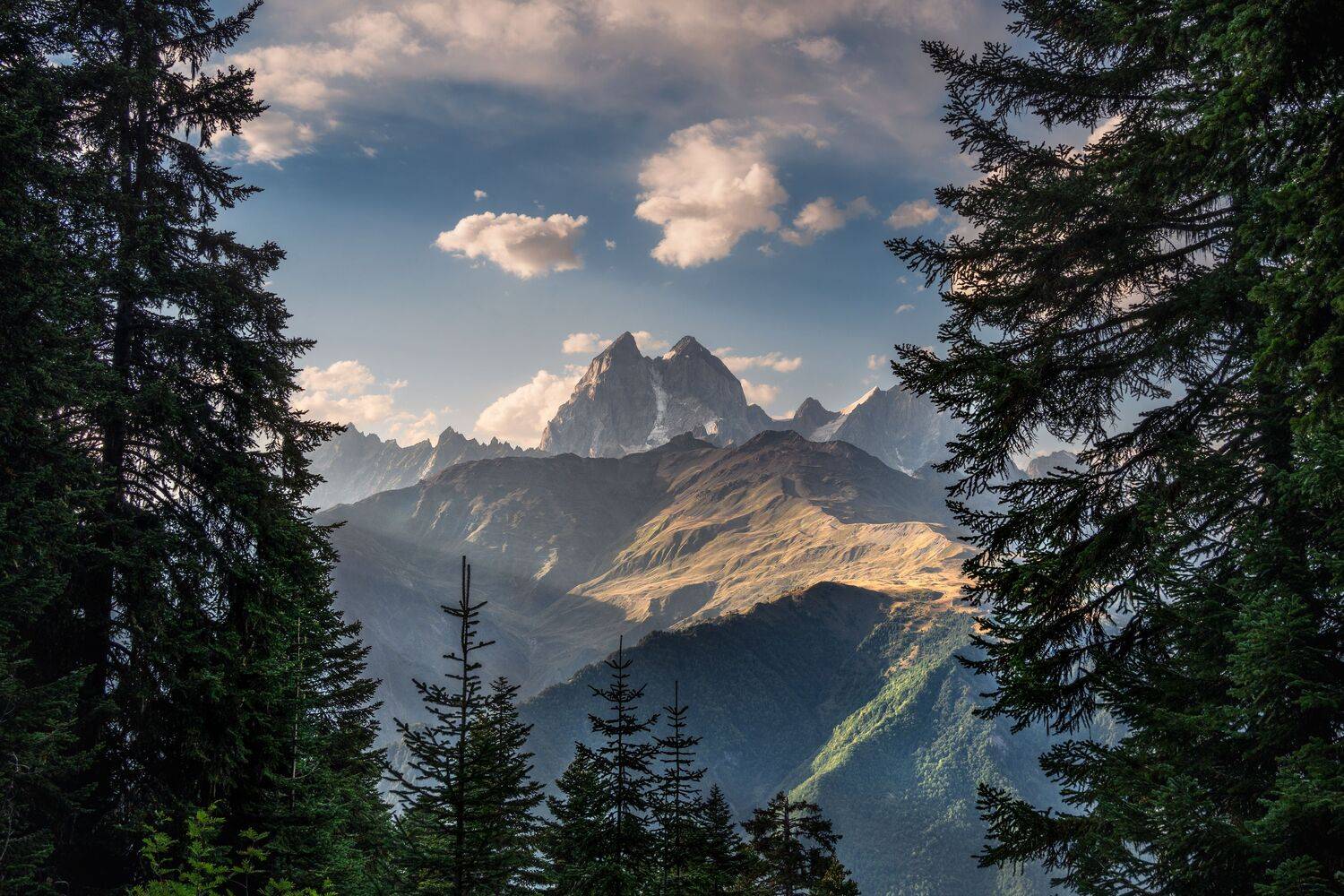 , Вукотић Никола