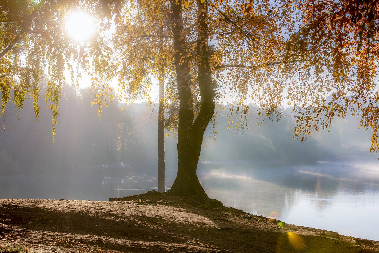 , Aleksandr Mihailov