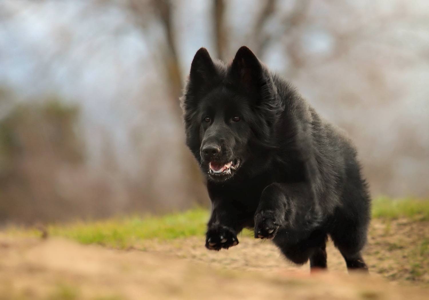 , Светлана Лукашкина