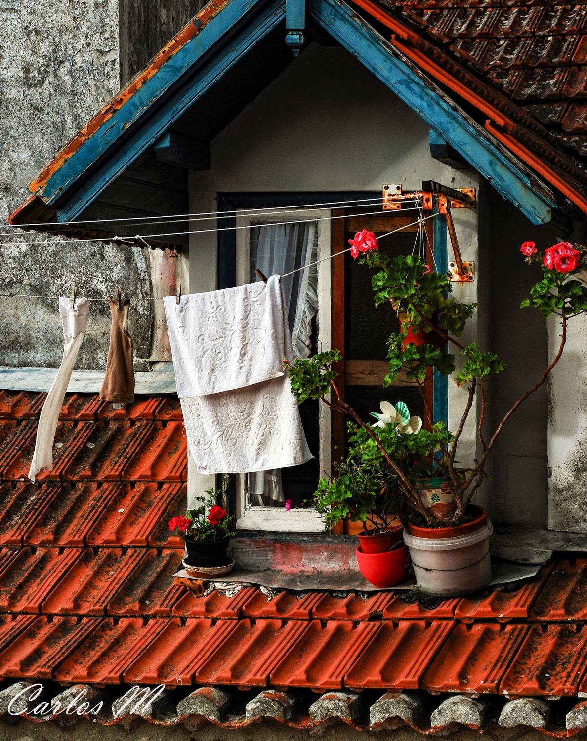 Street, reportage, Old houses, Machado Carlos