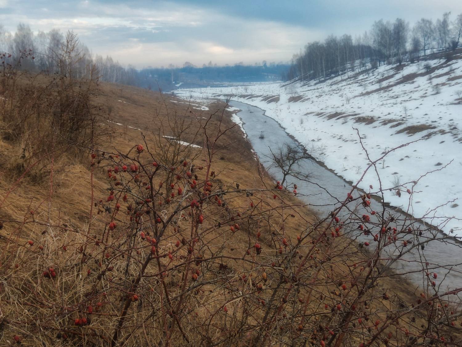 , Кондрашова Светлана