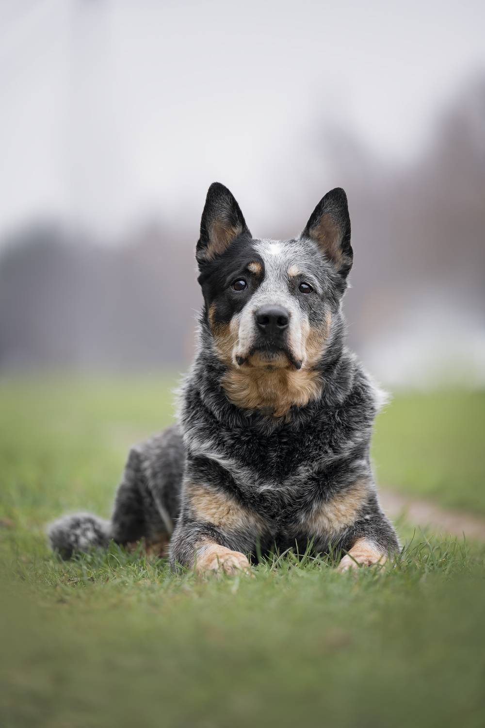 , Гончар Юлия