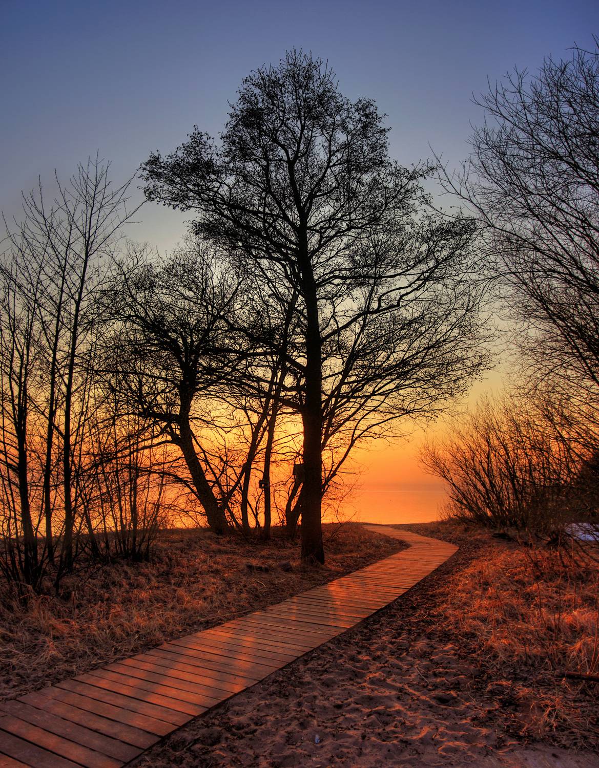 , Сергей Григорьев