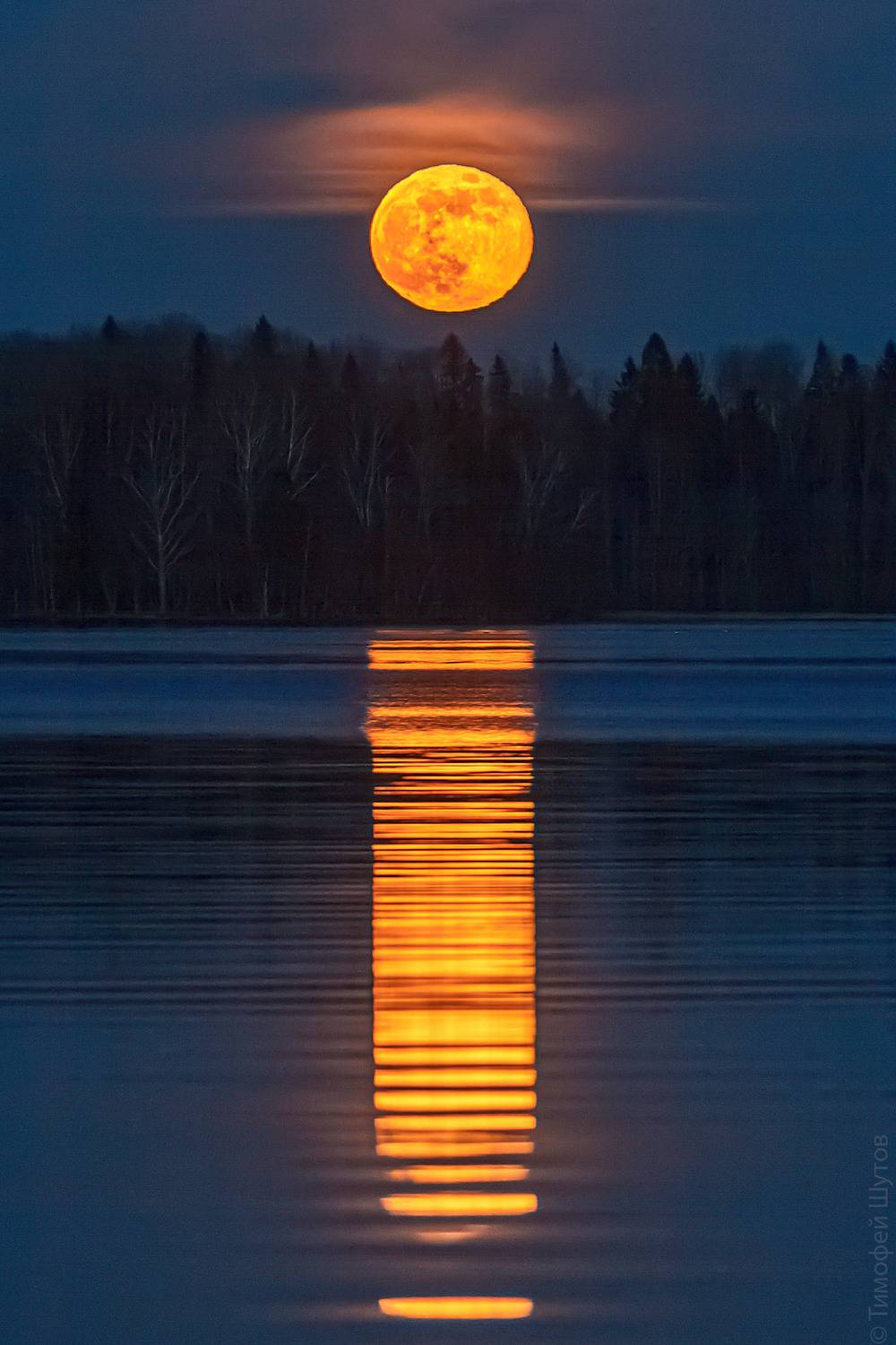 , Тимофей Шутов