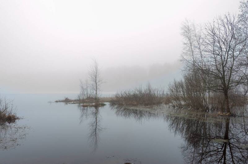 Апрельским утром фото превью
