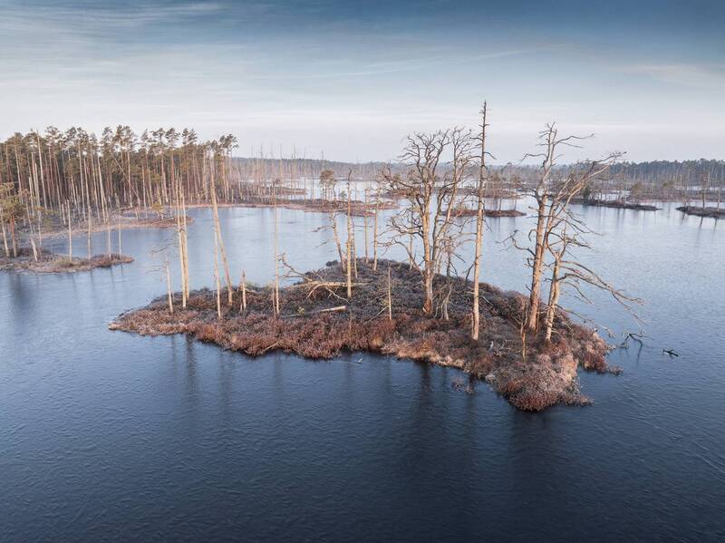 Холодное весенее утро фото превью