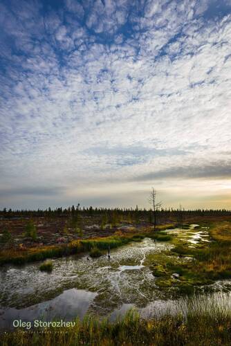 Северное, осеннее небо.
