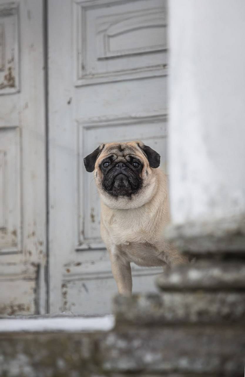 , Елена Самусенкова