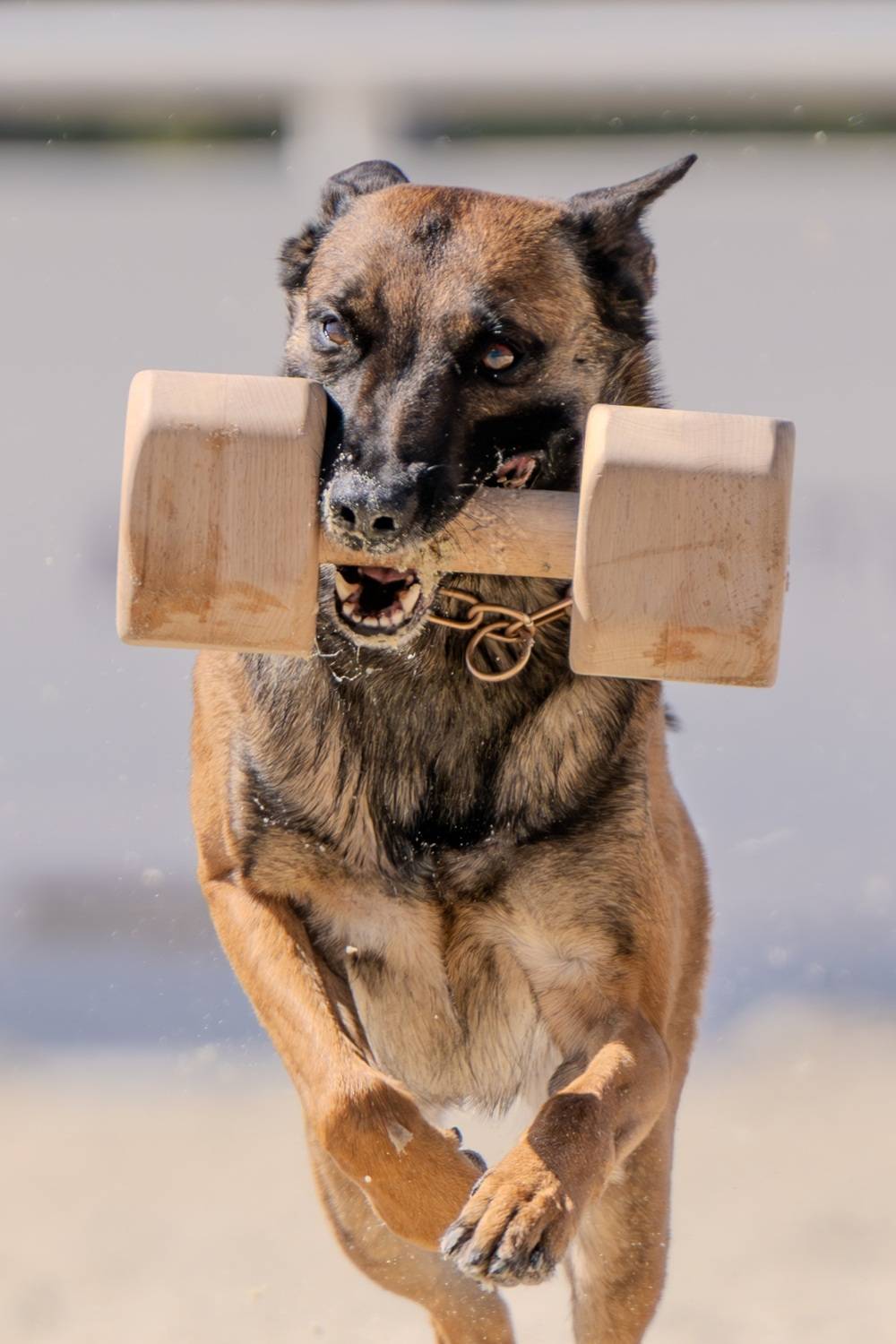 , Сергей Жиркевич