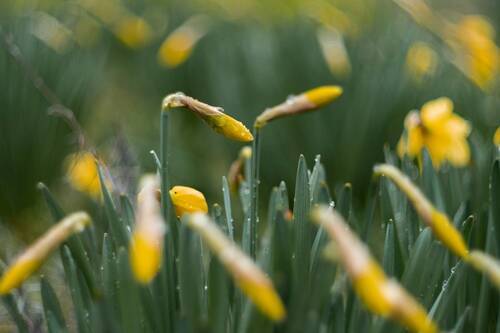 Пробуждение.