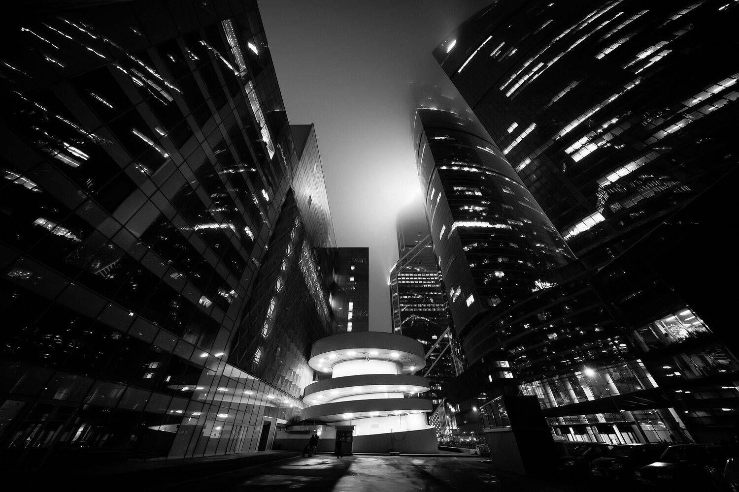 , Трепольский Дмитрий