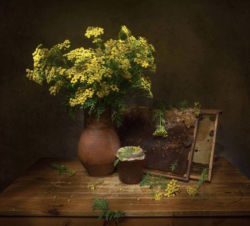 натюрморт, пижма, мед Кусочек солнечного лета фото превью