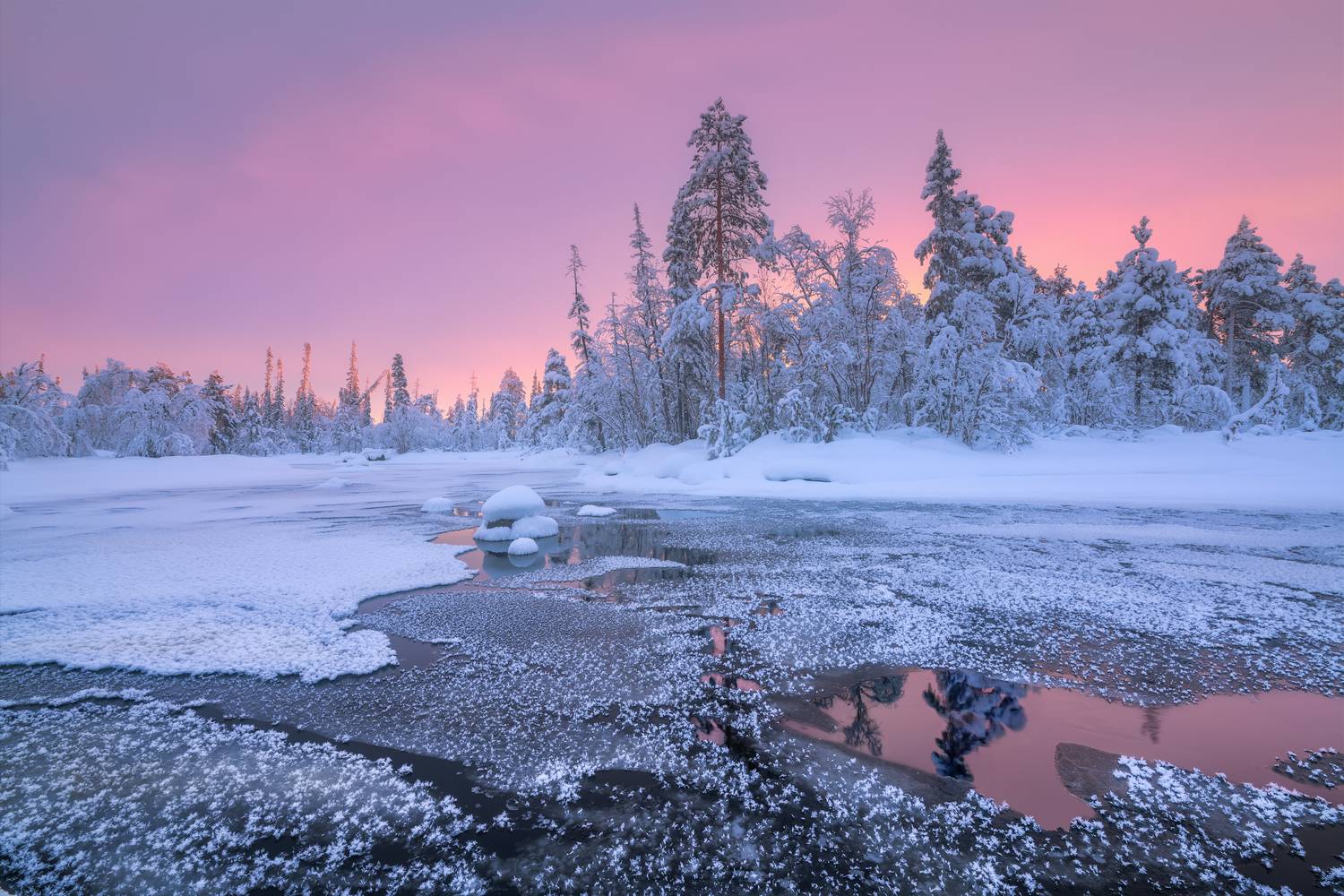 Кольский, Пауст, Евдокимов Максим