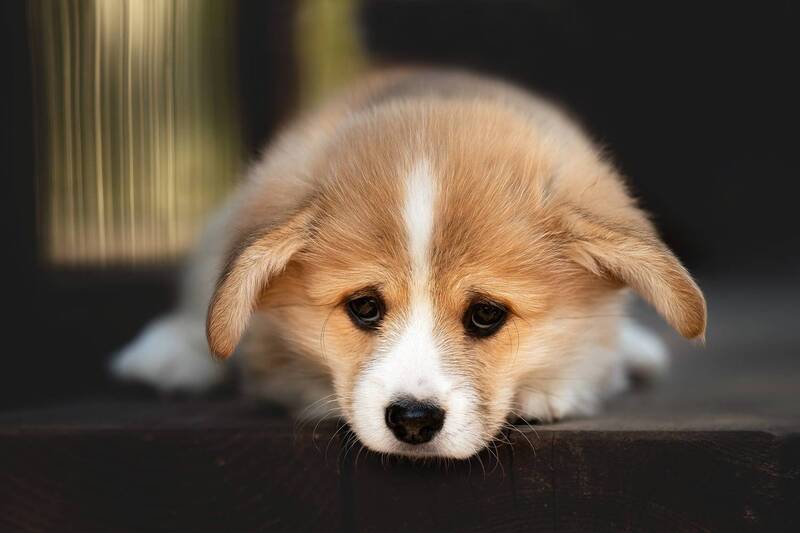 Нежный возраст фото превью