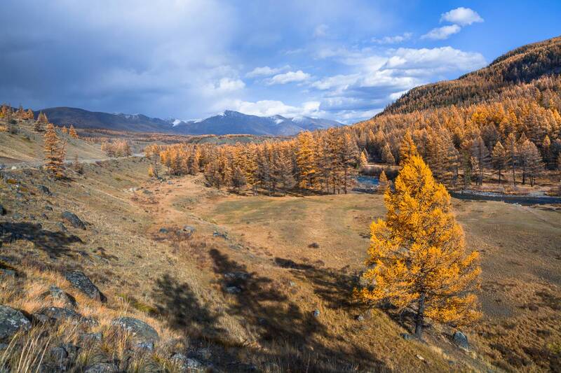 россия, горный алтай, осень Возвращаясь в осень фото превью